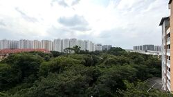 Blk 996A Buangkok Tropica (Hougang), HDB 4 Rooms #603541401